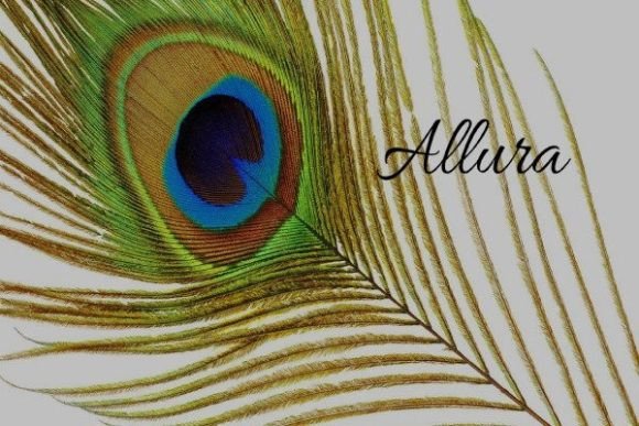Allura Font: A Polished Touch for Digital Branding