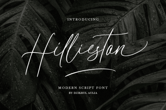 Hillieston Font: A Timeless Script for Creative Branding