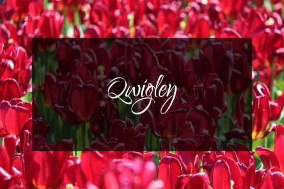 Qwigley: A Handwritten Font for Modern Editorial Design