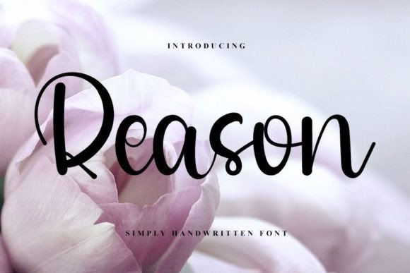 Reason Font: A Handwritten Typeface for a Professional Brand