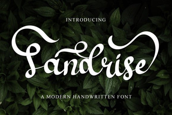 Sandrise Font: A Fresh Touch for Real Business Branding