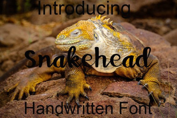 Snakehead Font: A Timeless Handwritten Typeface for Makers
