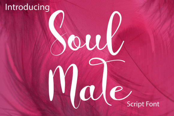 Soul Mate Font: A Delicate Typeface for Creative Campaigns