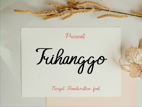 Trihanggo Font Review: A Designer’s Take on Elegance in Branding
